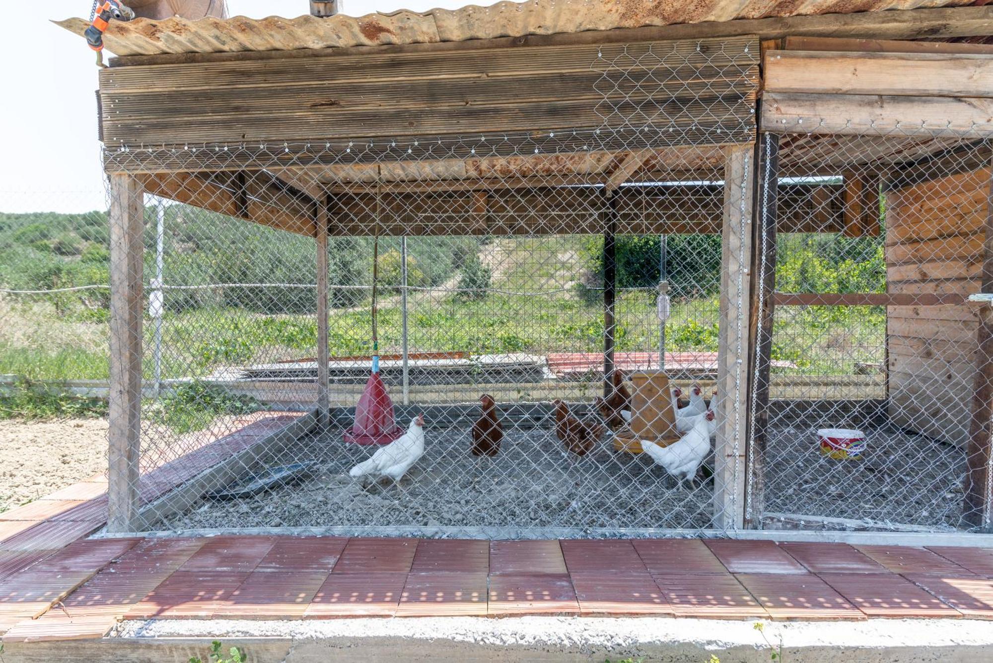 Countryhouse Villa With Pool & Private Parking Heraklion (Crete) Exterior foto
